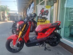 Honda ZoomerX